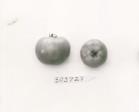 Click for 1 image(s) for this accession. FRUIT